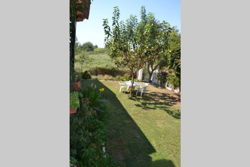 Beach House Into The Green! Preveza Exterior foto