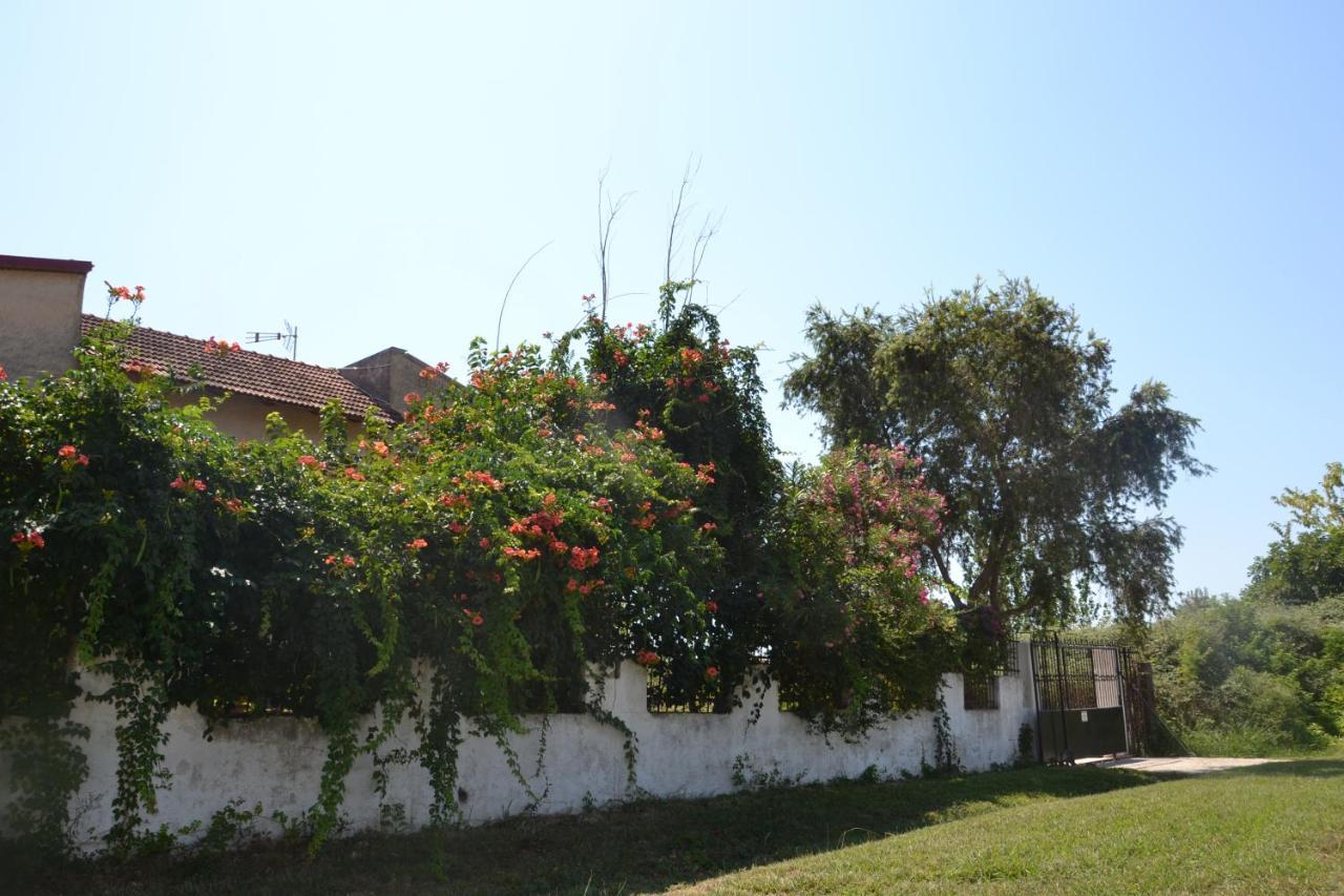 Beach House Into The Green! Preveza Exterior foto