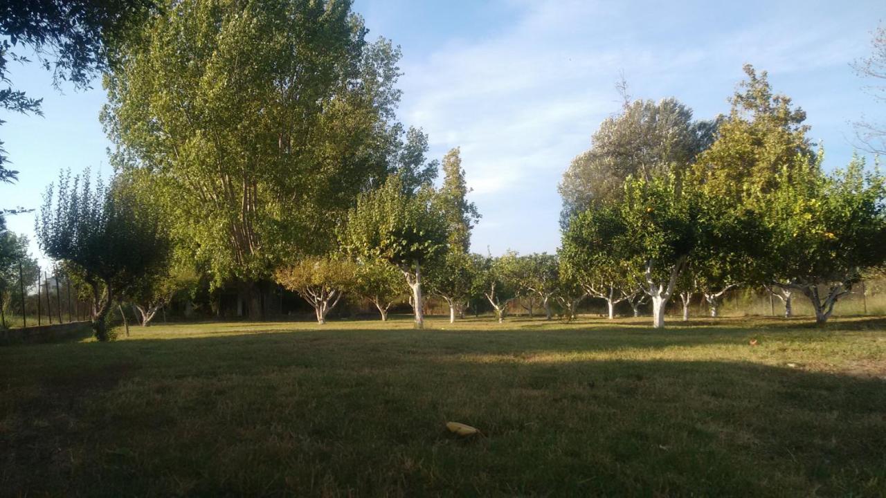 Beach House Into The Green! Preveza Exterior foto