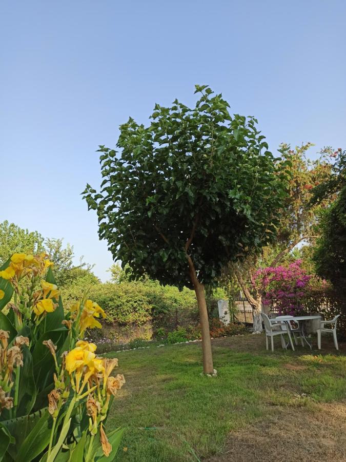 Beach House Into The Green! Preveza Exterior foto
